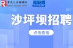 2023重庆沙坪坝区下半年教育事业单位招聘公告